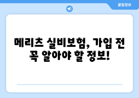 메리츠 실비보험