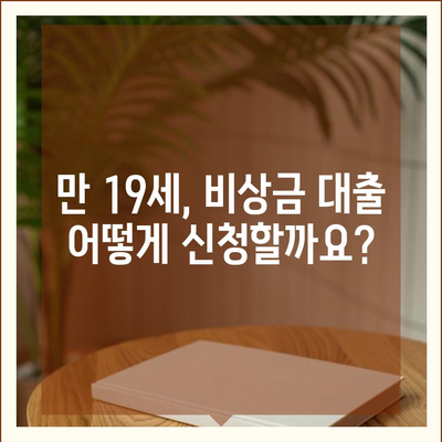 만 19세 비상금대출 신청