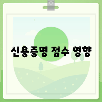 신용증명 점수 영향