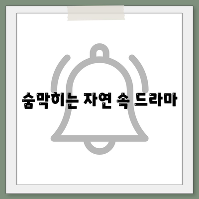 숨막히는 자연 속 드라마