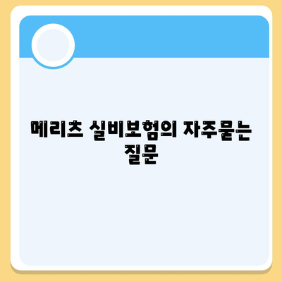 메리츠 실비보험