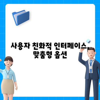 사용자 친화적 인터페이스, 맞춤형 옵션