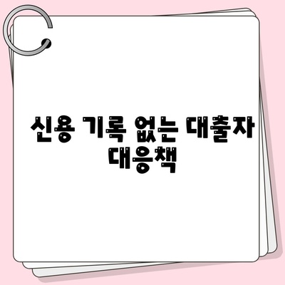 신용 기록 없는 대출자 대응책