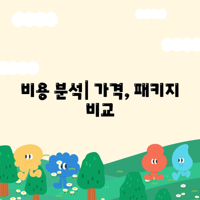 비용 분석| 가격, 패키지 비교