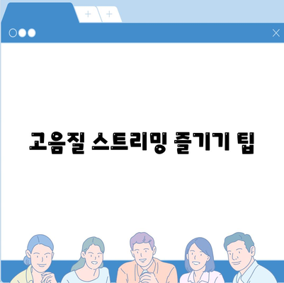 고음질 스트리밍 즐기기 팁