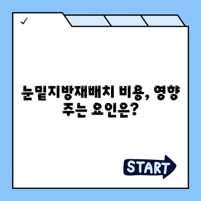 눈밑지방재배치 비용