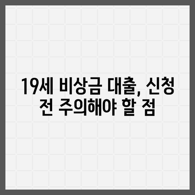 만 19세 비상금대출 신청