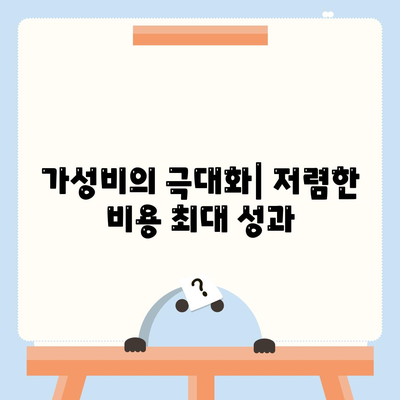 가성비의 극대화| 저렴한 비용 최대 성과