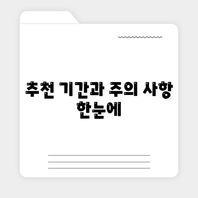 추천 기간과 주의 사항 한눈에