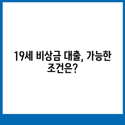 만 19세 비상금대출 신청