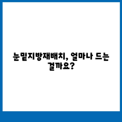 눈밑지방재배치 비용