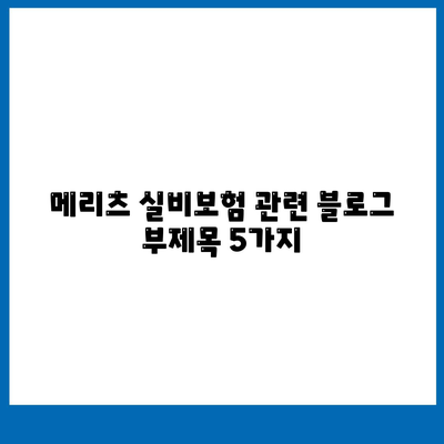 메리츠 실비보험