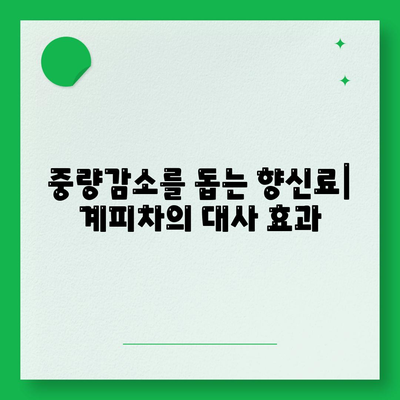 중량감소를 돕는 향신료| 계피차의 대사 효과