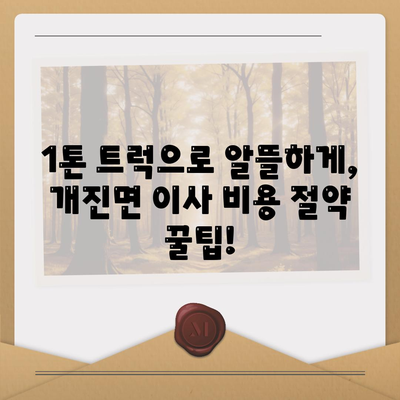 경상북도 고령군 개진면 포장이사비용 | 견적 | 원룸 | 투룸 | 1톤트럭 | 비교 | 월세 | 아파트 | 2024 후기