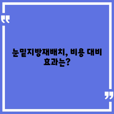 눈밑지방재배치 비용