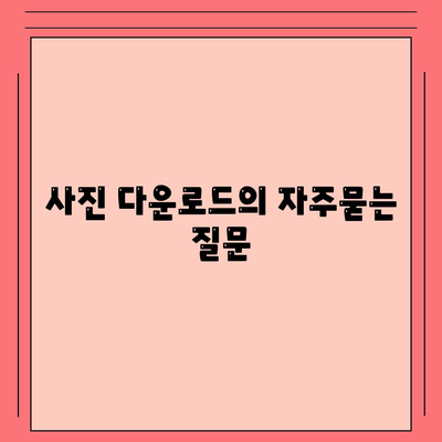 사진 다운로드