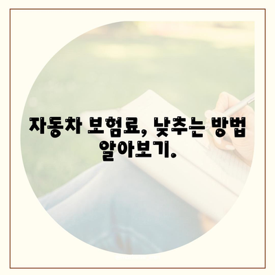 자동차 보험료 계산