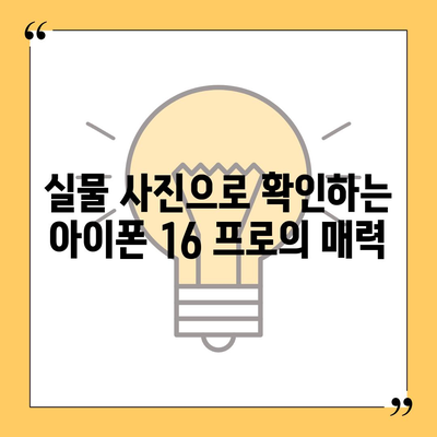 아이폰 16 프로 출시일 디자인 실물은 이렇다!