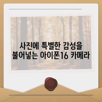 아이폰16 후면 카메라, 새로운 필터와 효과로 사진에 특별한 터치 추가