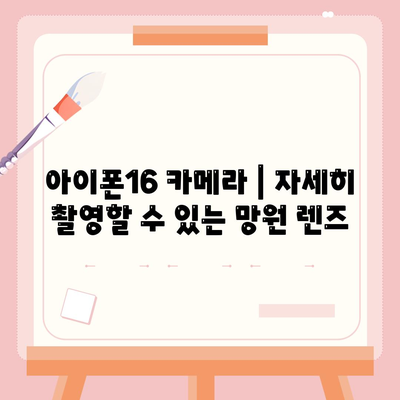 아이폰16 카메라 | 자세히 촬영할 수 있는 망원 렌즈