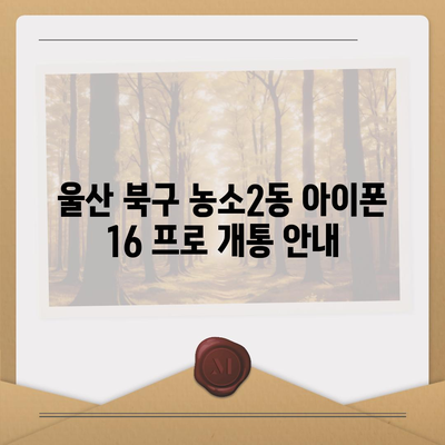 울산시 북구 농소2동 아이폰16 프로 사전예약 | 출시일 | 가격 | PRO | SE1 | 디자인 | 프로맥스 | 색상 | 미니 | 개통