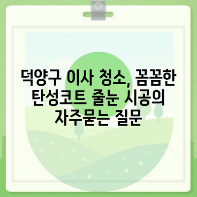 덕양구 이사 청소, 꼼꼼한 탄성코트 줄눈 시공