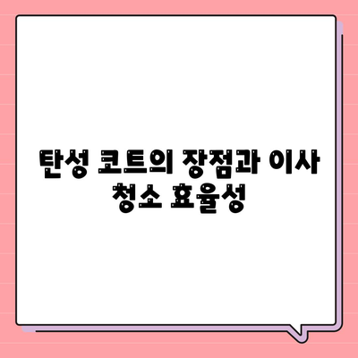 이사 청소 전 탄성 코트 줄눈 시공 확인