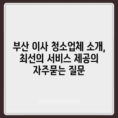 부산 이사 청소업체 소개, 최선의 서비스 제공