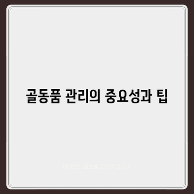 골동품 관리와 해외 이사 견적