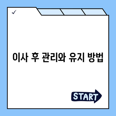 이사 청소 전 탄성 코트 줄눈 시공 보고