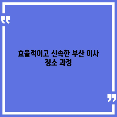 부산 이사 청소 업체 | 하루 한 집만 최선을 다하는 똑똑클린