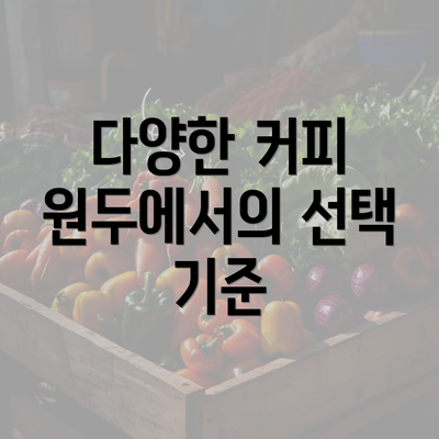 다양한 커피 원두에서의 선택 기준