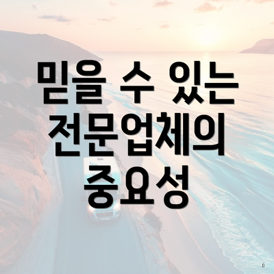 믿을 수 있는 전문업체의 중요성