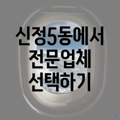 신정5동에서 전문업체 선택하기