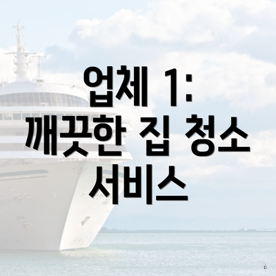 업체 1: 깨끗한 집 청소 서비스