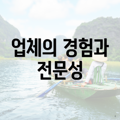 업체의 경험과 전문성