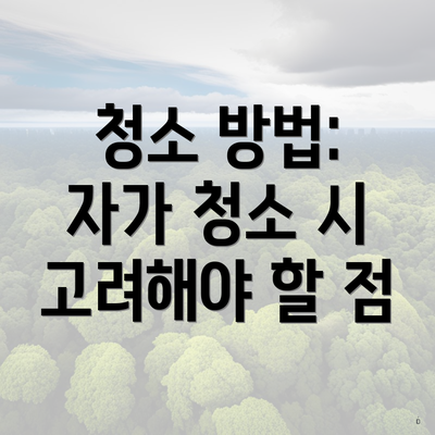 청소 방법: 자가 청소 시 고려해야 할 점