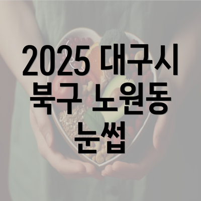 2025 대구시 북구 노원동 눈썹