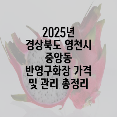 2025년 경상북도 영천시 중앙동 반영구화장 가격 및 관리 총정리