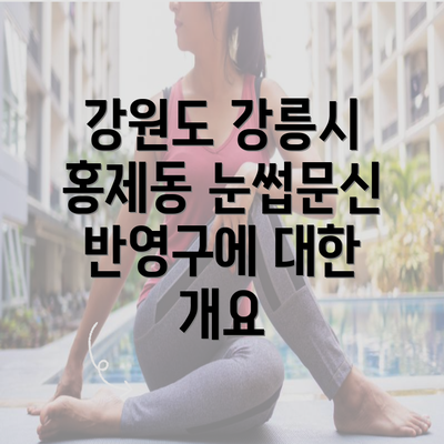 강원도 강릉시 홍제동 눈썹문신 반영구에 대한 개요