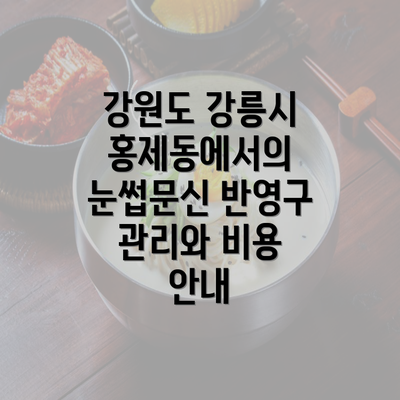 강원도 강릉시 홍제동에서의 눈썹문신 반영구 관리와 비용 안내