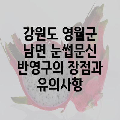 강원도 영월군 남면 눈썹문신 반영구의 장점과 유의사항