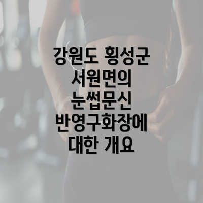 강원도 횡성군 서원면의 눈썹문신 반영구화장에 대한 개요