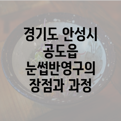 경기도 안성시 공도읍 눈썹반영구의 장점과 과정