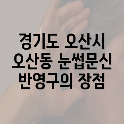 경기도 오산시 오산동 눈썹문신 반영구 시술 완벽 가이드