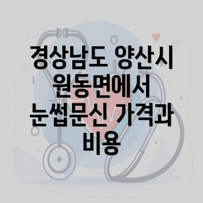 경상남도 양산시 원동면에서 눈썹문신 가격과 비용