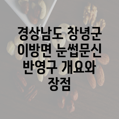 경상남도 창녕군 이방면 눈썹문신 반영구 개요와 장점