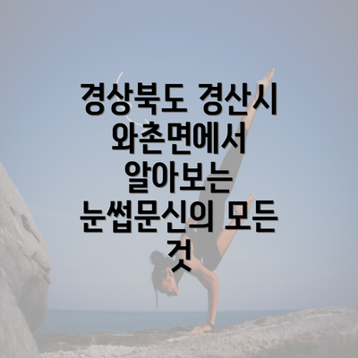 경상북도 경산시 와촌면에서 알아보는 눈썹문신의 모든 것