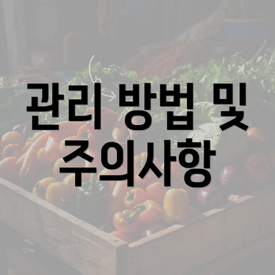 관리 방법 및 주의사항