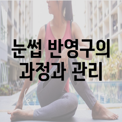 눈썹 반영구의 과정과 관리